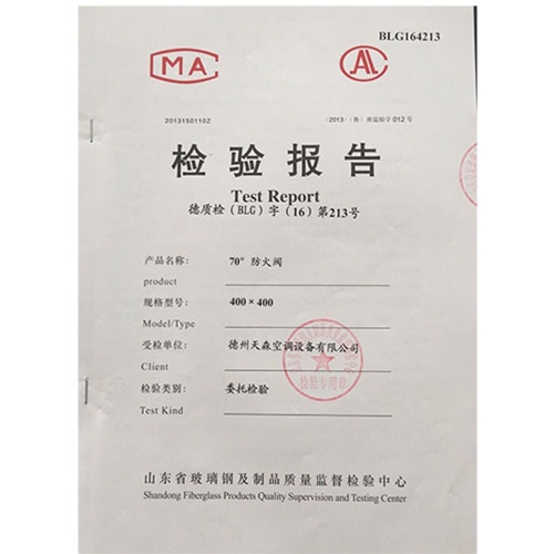 檢查報(bào)告